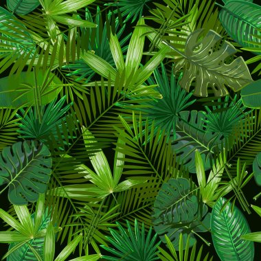 Tropikal palmiye ile Seamless Modeli siyah arka plan üzerine bırakır