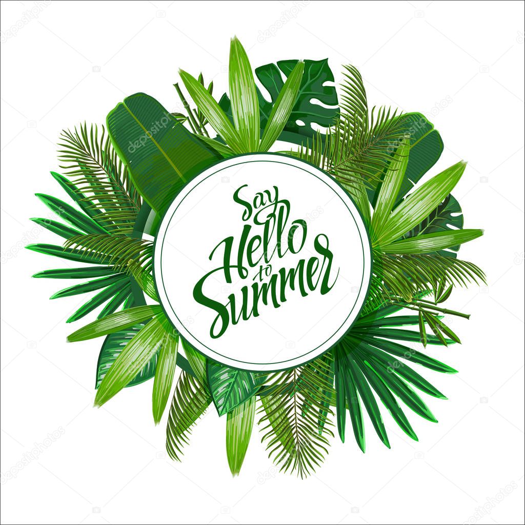 Tropical leaves around the circle on white background with isolated sign Say hello to Summer. Pattern nature. Vector art isolate.