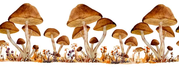 Aquarela mão desenhado selvagem cogumelo venenoso sem costura fronteira horizontal marrom webcap fungos no outono floresta madeira — Fotografia de Stock