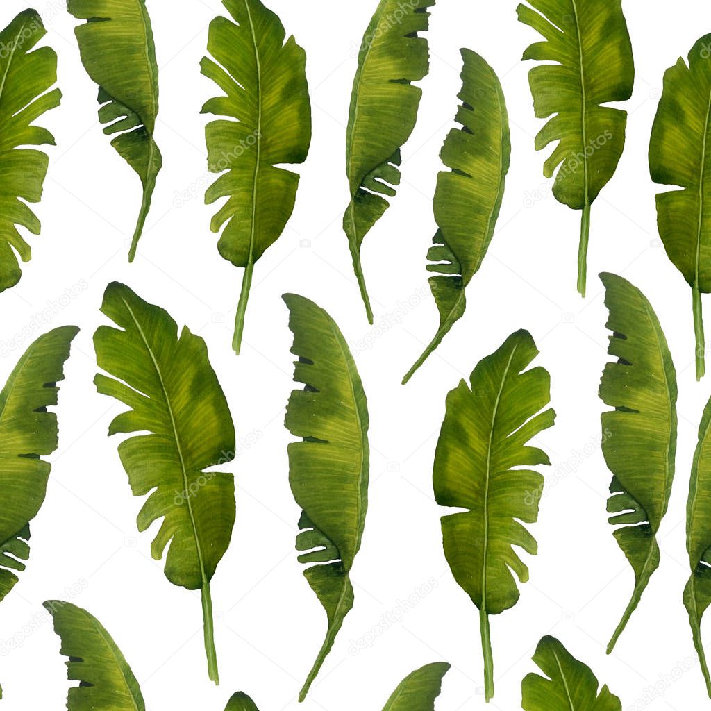 watercolor seamless pattern banana leaves vegetation. Green leaf leaves lush tropical exotic foliage deleicate elegant greenery isolated elements for composition design natural organic trendy