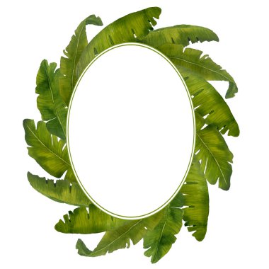 Elle çizilmiş suluboya yuvarlak çerçeve. Zengin Hawaii tropikal yaprakları yeşil muz ağacı vahşi orman illüstrasyonları kartlar için düğün tasarımı botanik çiçek gibi zarif elementler