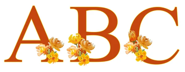 Lettertype letter A B C typografie alfabet. Aquarel met de hand getekend illustratie warm oranje bloemen bladeren van losse vorm natuur planten elegant botanisch ontwerp. Voor trouwkaarten uitnodiging logo. In — Stockfoto