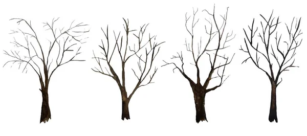 Aquarelle illustration dessinée à la main ensemble de quatre arbres nus sans feuilles, concept écologique forêt forêt forêt forêt. Écorce de tronc brune en hiver, au printemps, en automne. Silhouette de branche d'arbre nue — Photo