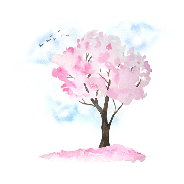 Suluboya el çizimi, çiçek açan kiraz ağacı, gökyüzü, kuşlar, düşen yapraklar. Hanami festivali geleneksel Japon kültürü. Doğa manzarası bitkisi