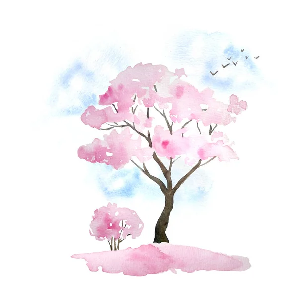 Acuarela ilustración de diseño dibujado a mano de sakura de cerezo rosa en flor flores, cielo, pájaros, pétalos caídos. Hanami festival tradicional japonés cultura japonesa. Naturaleza paisaje planta —  Fotos de Stock