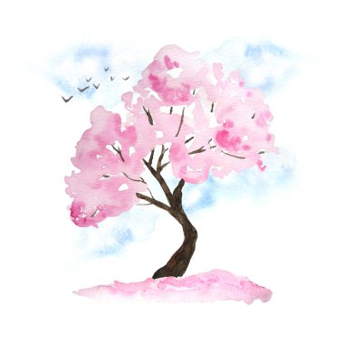 Suluboya el çizimi, çiçek açan kiraz ağacı, gökyüzü, kuşlar, düşen yapraklar. Hanami festivali geleneksel Japon kültürü. Doğa manzarası bitkisi