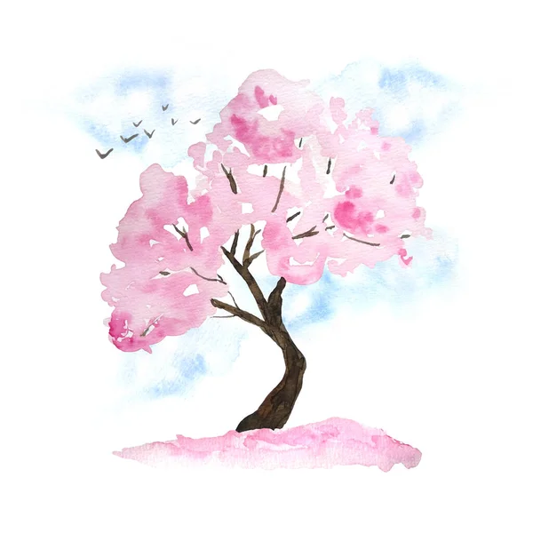 Watercolor hand drawn design illustration of pink cherry sakura tree in bloom blossom flowers, sky, birds, fallen petals. Hanami festival traditional japan japanese culture. Nature landscape plant — Stock Photo, Image