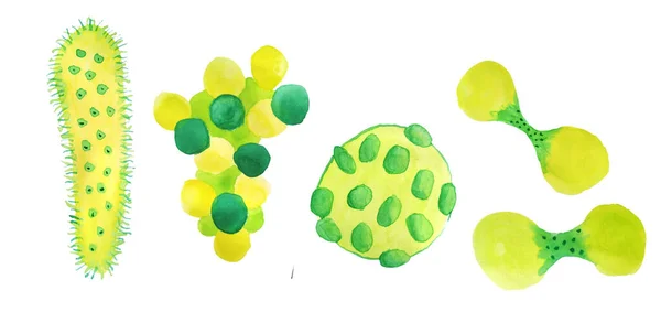 手描き水彩緑黄色のウイルスや細菌分離セット。顕微鏡下の細胞疾患、ウイルス、細菌や微生物のイラスト。微生物学の概念。医用ポスターの平面要素 — ストック写真