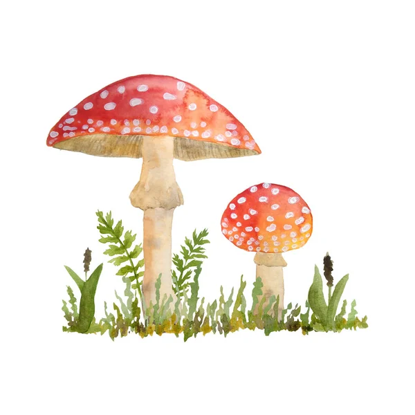 Ručně kreslené akvarel nebezpečné děsivé jedovaté houby červená Amanita muscaria. Divoké houby houby z letního lesa lesy v zelené trávě bobule keaves přírodní sezóna ideální pro halloween design — Stock fotografie