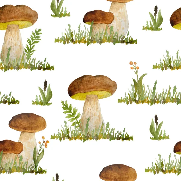 Mão desenhada aquarela padrão sem costura ilustração de porcini cep cogumelo boleto comestível. Floresta de madeira projeto bosque com bagas de grama. Selvagem cru ingridient orgânico saudável. Verão de outono — Fotografia de Stock