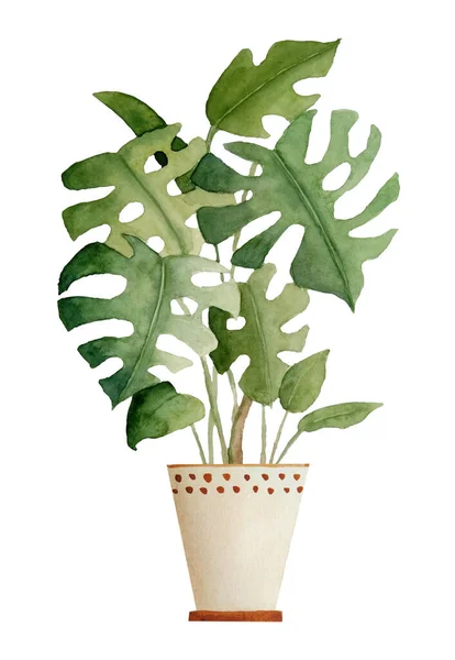 Akvarell handritad illustration av monstera växt på vit isolerad bakgrund. För inredning natur älskare blomma krukväxt brun lera terra cotta kruka. Trädgårdsodling i tropisk djungel. — Stockfoto