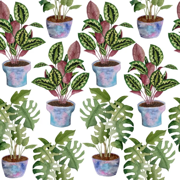 Aquarela sem costura mão desenhada padrão vasos flores interiores no fundo isolado branco. Monstera calathea planta de oração. Folhagem verde cinza rosa macio pastel violeta potes design de interiores selva urbana — Fotografia de Stock