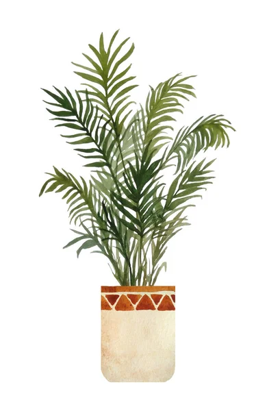 Watercolor hand drawn illustration of areca parlor palm plant on white isolated background. Interior design nature lovers flower houseplant in brown beige clay terra cotta pot. Urban tropical jungle. — Stock Photo, Image