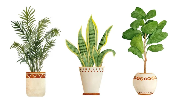 Watercolor hand drawn illustration elements of areca parlor palm sanseviera snake plant fiddle leaf tree ficus. Pot beige terra cotta clay potted for urban jungle nature lovers indoor houseplants — Stock Photo, Image