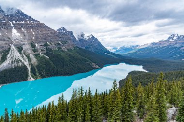 Peyto göl Kanada