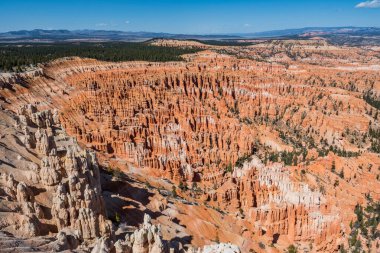 Bryce Canyon Ulusal Parkı Utah 'taki kırmızı kabadayıların muhteşem manzarası..