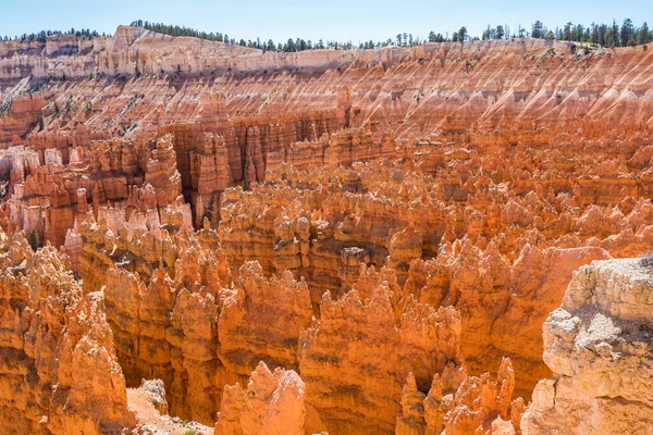 Magnificent View Crimson Colored Hoodoos Bryce Canyon National Park Utah — Stock Photo, Image