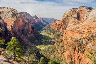 Melekler Şehri 'nin tepesinden kanyonun güzel manzarası, Zion Ulusal Parkı Utah Usa.
