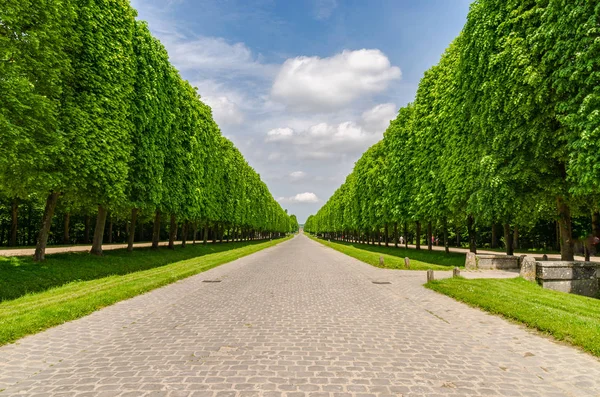 Krásný Výhled Zahradu Versailles Noci Paříži Francie — Stock fotografie