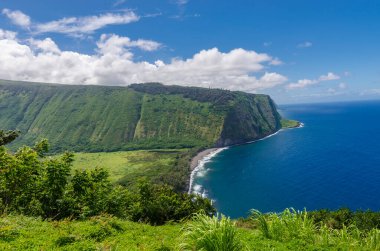 Beautiful Waipio valley in Big Island in Hawaii USA clipart