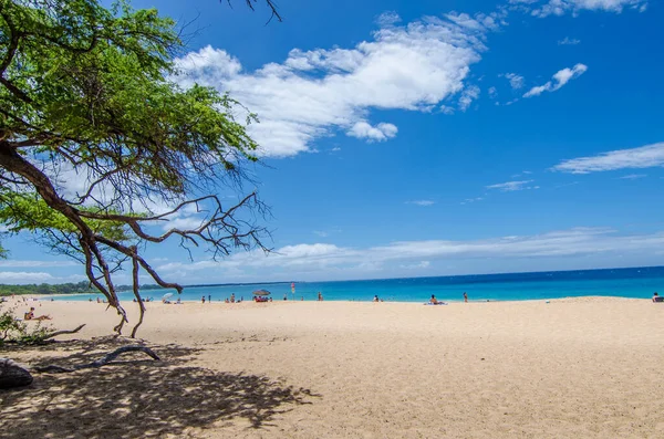 Una Las Mejores Playas Con Aguas Cristalinas Big Beach Maui —  Fotos de Stock