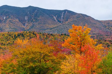 New Hampshire Usa 'da Kancamagus' tan güzel sonbahar renkleri göründü.
