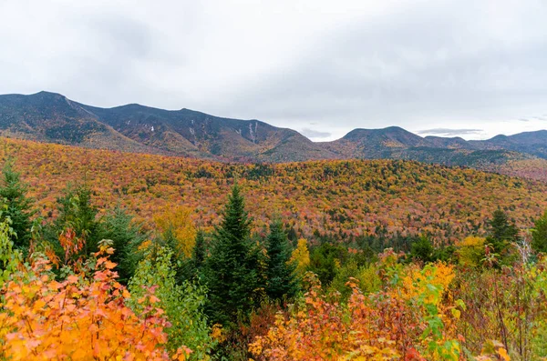 Американском Штате Нью Гемпшир Замечены Осенние Цветки Kancamagus Hwy — стоковое фото