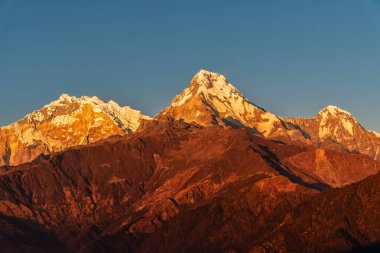 Günbatımının görkemli manzarası Annapurna South ve Himchuli arasında Poon Hill, Ghorepani, Nepal 'den