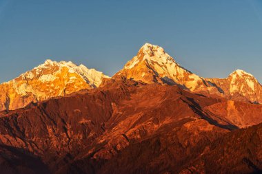 Günbatımının görkemli manzarası Annapurna South ve Himchuli arasında Poon Hill, Ghorepani, Nepal 'den