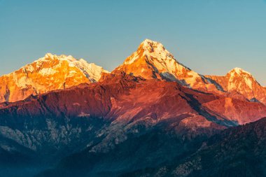 Günbatımının görkemli manzarası Annapurna South ve Himchuli arasında Poon Hill, Ghorepani, Nepal 'den