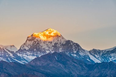Dhaulagiri 'yi öpen güzel gün doğumu ışığı Poonhill Ghorepani Nepal' den izleniyor.