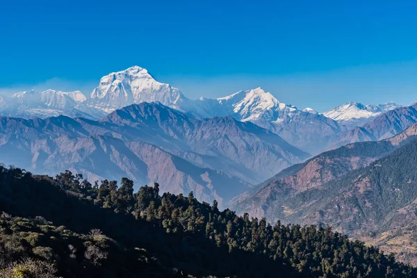 Majestuosa Vista Cordillera Dhaulagiri Siete Pokhara Nepal Más Alto — Foto de Stock