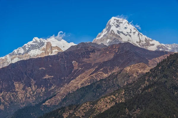 Majestátní Pohled Annapurnu Jih Himchuli Poonhill Ghorepani Nepál — Stock fotografie