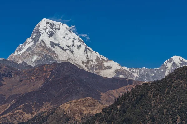 Majestátní Pohled Annapurnu Jih Himchuli Poonhill Ghorepani Nepál — Stock fotografie