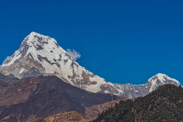 Majestátní Pohled Annapurnu Jih Himchuli Poonhill Ghorepani Nepál — Stock fotografie