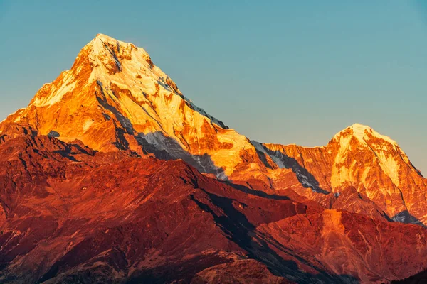 Günbatımının görkemli manzarası Annapurna South ve Himchuli arasında Poon Hill, Ghorepani, Nepal 'den