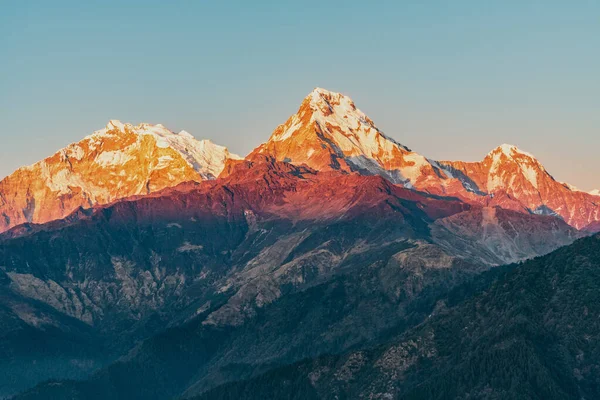 Günbatımının görkemli manzarası Annapurna South ve Himchuli arasında Poon Hill, Ghorepani, Nepal 'den
