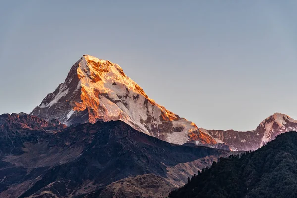 Majestátní Pohled Annapurnu Jih Himchuli Poonhill Ghorepani Nepál — Stock fotografie