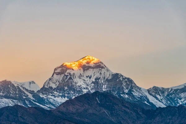 Hermosa Luz Del Amanecer Besando Cumbre Montaña Dhaulagiri Vista Desde — Foto de Stock