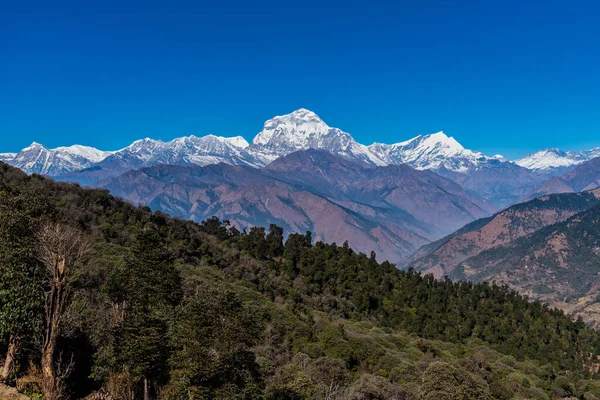 Majestuosa Vista Cordillera Dhaulagiri Siete Pokhara Nepal Más Alto — Foto de Stock