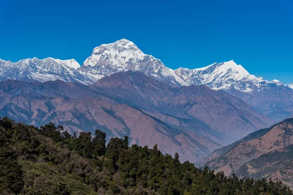 Majestuosa Vista Cordillera Dhaulagiri Siete Pokhara Nepal Más Alto — Foto de Stock
