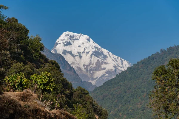 Bella Vista Annapurna Sud Pokhara Regione Nepal — Foto Stock