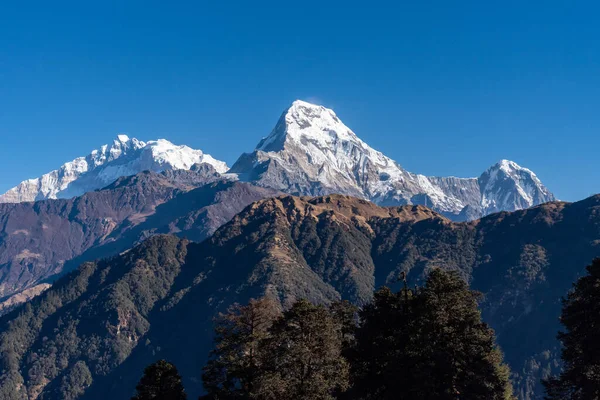Hermosa Vista Gama Annapurna Con Himchuli Pokhara Nepal — Foto de Stock