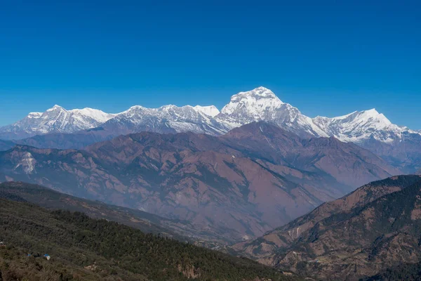 Majestätisk Utsikt Över Dhaulagiri Bergskedja Sju Högsta Pokhara Nepal — Stockfoto