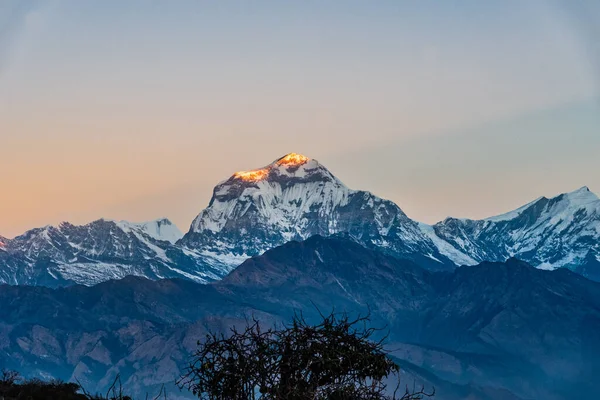 Majestátní Pohled Západ Slunce Ženoucí Pohořím Dhaulagiri Poon Hill Ghorepani — Stock fotografie