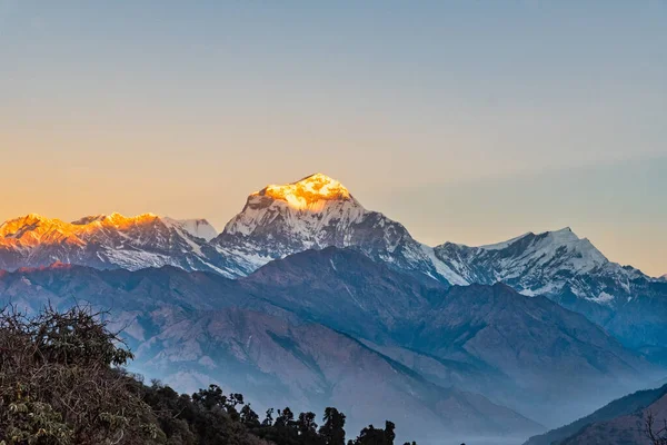 Krásný Východ Slunce Světlo Líbání Dhaulagiri Vrchol Hory Pohled Poonhill — Stock fotografie