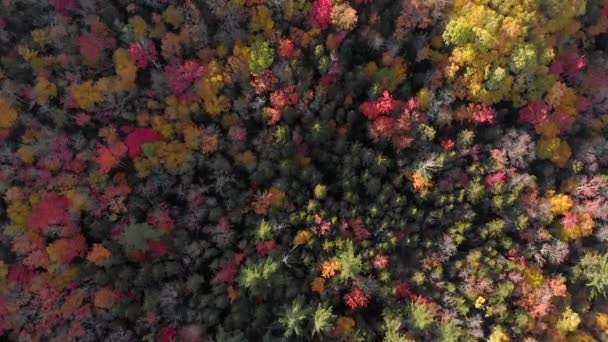 Fantastisk Utsikt Över Kancamagus Highway New Hampshire Foliage Season Usa — Stockvideo