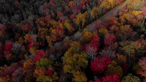 Niesamowity Widok Kancamagus Autostrady New Hampshire Podczas Sezonu Liści Usa — Wideo stockowe