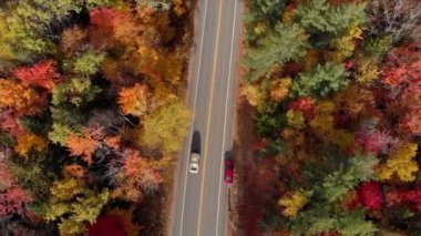 New Hampshire 'daki Kancamagus Otoyolu' nun İnanılmaz Manzarası Çeviri: