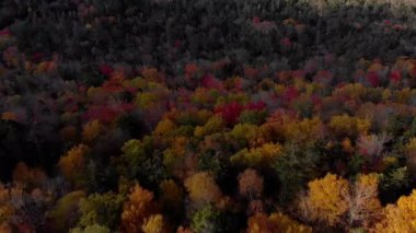 New Hampshire 'daki Kancamagus Otoyolu' nun İnanılmaz Manzarası Çeviri: